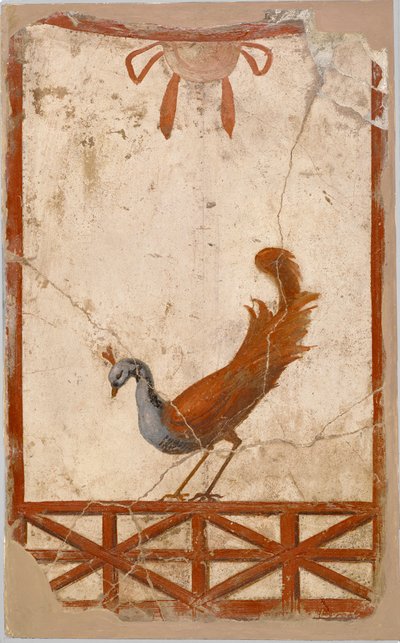 Wall Fragment with a Peacock by Unbekannt Unbekannt